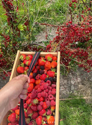 The Dream of Calm Boredom